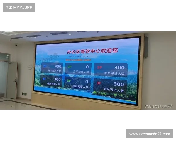 动态定价模型依托平台实时数据优化场馆与赛事票务销售策略。
