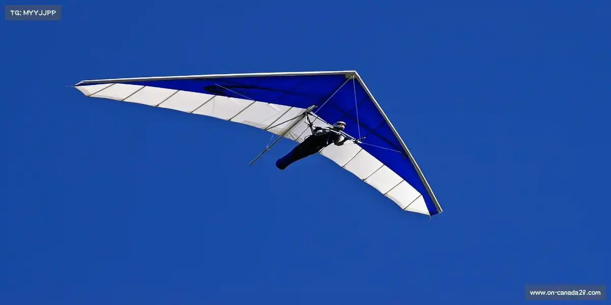 加拿大28在线玩——全力以赴，让汗水闪耀！🥇 🏅